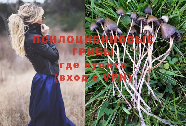 хмурый Киренск
