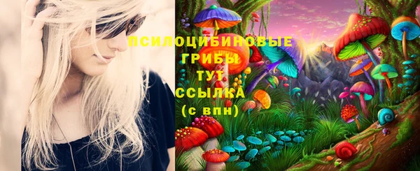 эйфоретик Кинешма