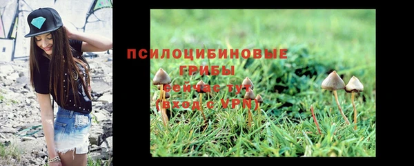 хмурый Киренск